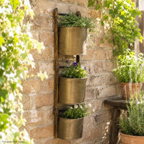 Planters & Sikas