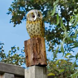 Tawny owl on tree trunk 19cm