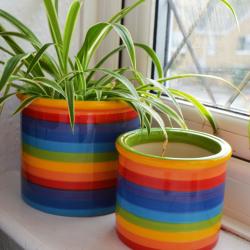 Rainbow ceramic planter, 11cm x 10cm ht