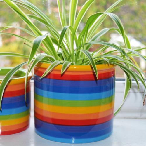 Rainbow ceramic planter, 15cm x 14cm ht