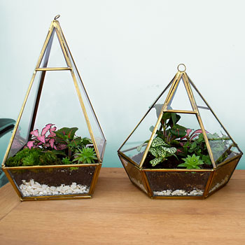 Terrariums