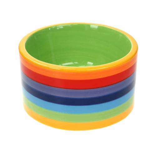 Rainbow dog bowl