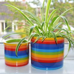 Rainbow ceramic planter, 11cm x 10cm ht