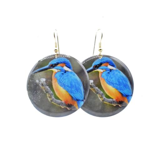 Earrings Kingfisher
