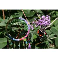 Dreamcatcher tree jewelled rainbow 7.5cm