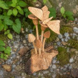 Handcrafted Wooden Butterfly on Woodland Toadstools