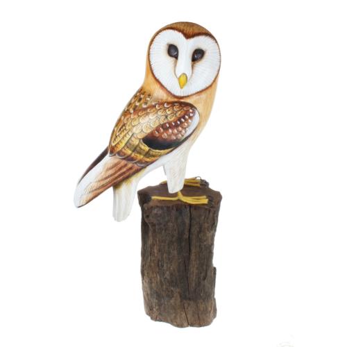 Barn owl on tree trunk 39cm