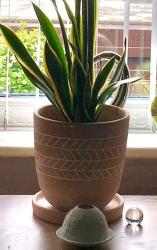 Terracotta plant pot with saucer, fish bone, large