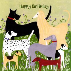 Birthday card "Dogs" 16x16cm