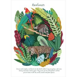 Greetings card "Rainforests" 12x17cm