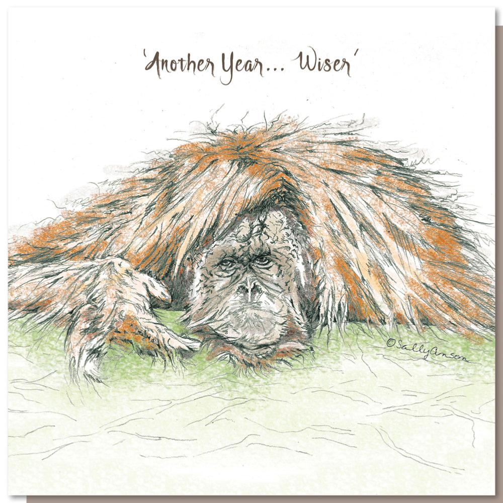 Greetings card, another year wiser