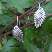 Ear climbers, leaves