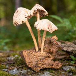 Handcrafted Wooden Three Toadstool Woodland Decoration