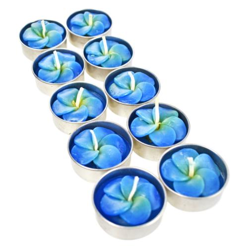 Scented t-lights x10 blue frangipani, 21 x 9cm 