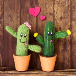 Greetings card, cacti in pots