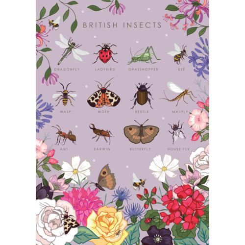 Greetings card "British insects" 12x17cm