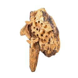 Hand-Carved Wild Bee Hive with Three Bees