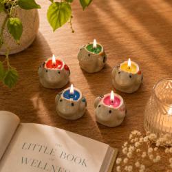 5 Frog Candles in Wooden Holder Assorted Colours