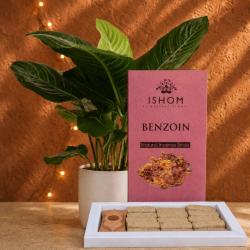 ISHOM Benzoin Natural Incense Bricks