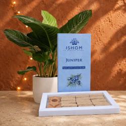 ISHOM Juniper Natural Incense Bricks